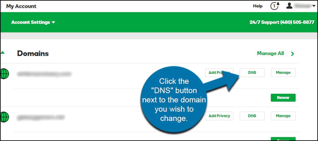 dns button