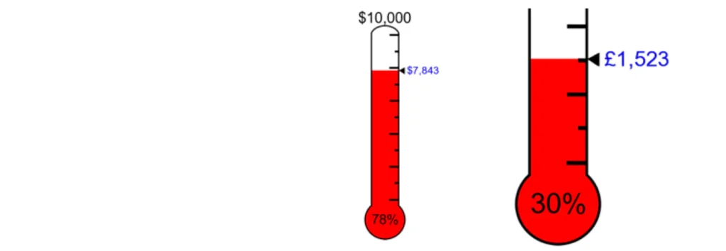 donation thermometer